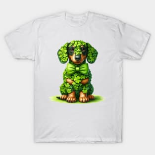 Clover Dachshund Dog St Patricks Day T-Shirt